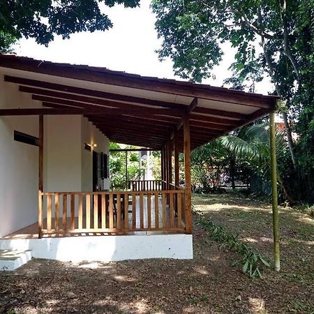 Green Papaya Villa Puerto Viejo de Talamanca Esterno foto