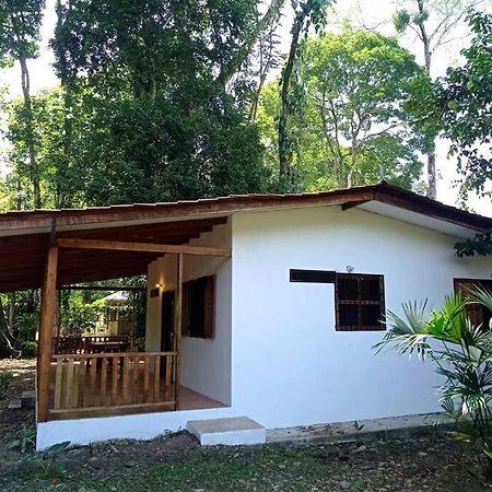 Green Papaya Villa Puerto Viejo de Talamanca Esterno foto