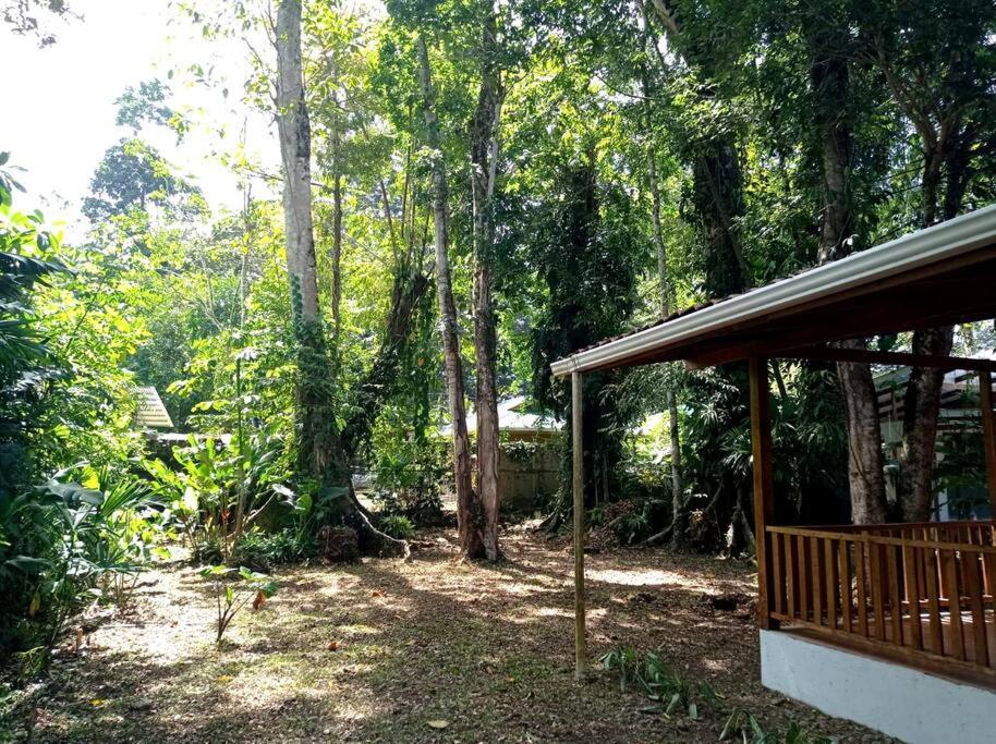 Green Papaya Villa Puerto Viejo de Talamanca Esterno foto