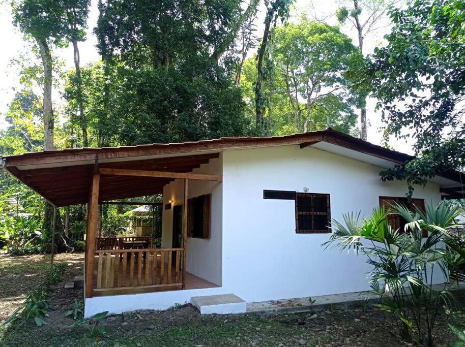 Green Papaya Villa Puerto Viejo de Talamanca Esterno foto