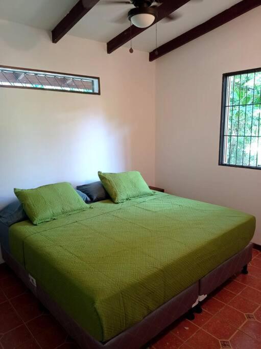 Green Papaya Villa Puerto Viejo de Talamanca Esterno foto